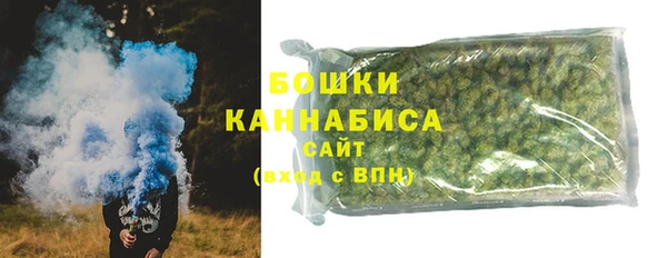 СК Протвино