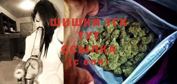 СК Протвино