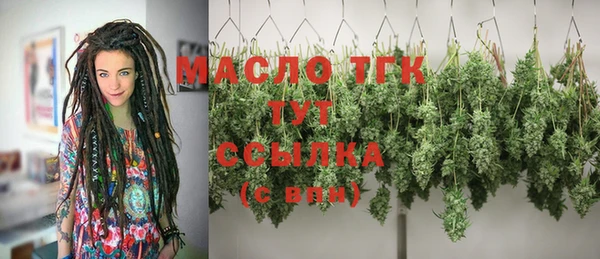 СК Протвино