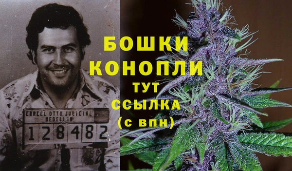 СК Протвино