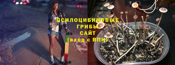 СК Протвино